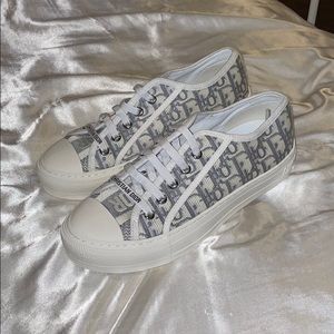Dior Converse Grey